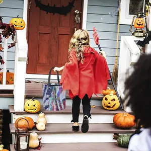 The Colorful Zebra Halloween Candy Bag