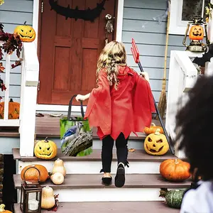 Blue Jay Show Off Halloween Candy Bag