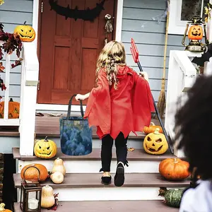 The Grand Detour Halloween Candy Bag