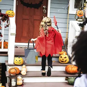 The Boy King Halloween Candy Bag