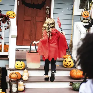 Consequences Of The Pink Cloud Halloween Candy Bag