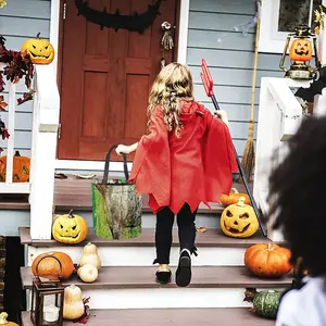 Silver Line Halloween Candy Bag