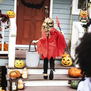 White Doberman Halloween Candy Bag