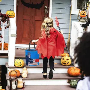 True Story Marina Abramovich And Ulay Halloween Candy Bag