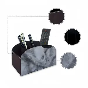 Seed Remote Control Storage Box (Leather)