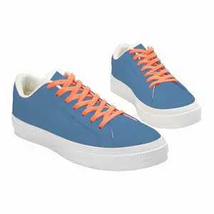 Men Flag 10 Low Top Canvas Shoes