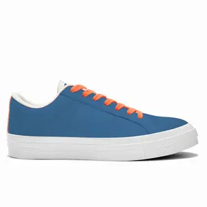 Men Flag 10 Low Top Canvas Shoes