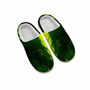 Men Bigin Green Winter Cotton Slippers