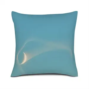 Bird Moon Linen Throw Pillow (Multi-Size)