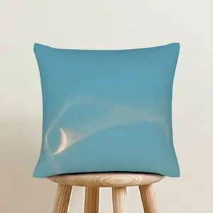 Bird Moon Linen Throw Pillow (Multi-Size)