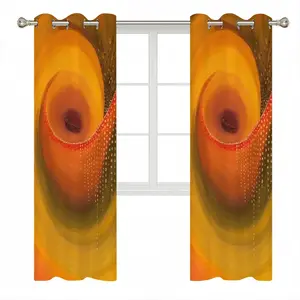 A Field Of Energy Curtains (Multi-Size)