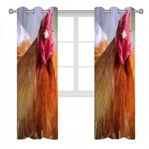 Rooster Stare Down Curtains (Multi-Size)