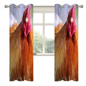 Rooster Stare Down Curtains (Multi-Size)