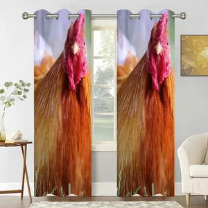 Rooster Stare Down Curtains (Multi-Size)