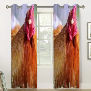 Rooster Stare Down Curtains (Multi-Size)