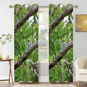 Blue Jay In A Tree - Classic Pose Curtains (Multi-Size)