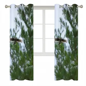 Blue Joy In Flight Curtains (Multi-Size)