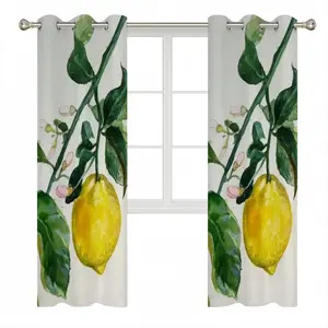 Lemon Branch Curtains (Multi-Size)