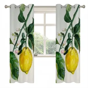 Lemon Branch Curtains (Multi-Size)