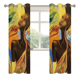 Just Fly With Me Curtains (Multi-Size)