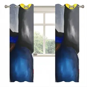 Lens Curtains (Multi-Size)