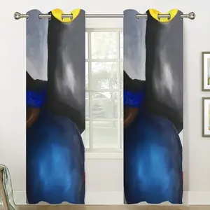 Lens Curtains (Multi-Size)