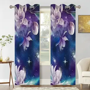 Space Extravaganza Curtains (Multi-Size)