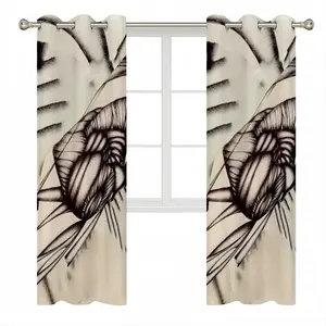 Sd Space 3 Evolution 6 Curtains (Multi-Size)