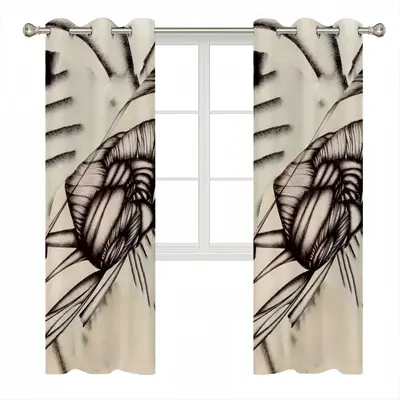 Sd Space 3 Evolution 6 Curtains (Multi-Size)