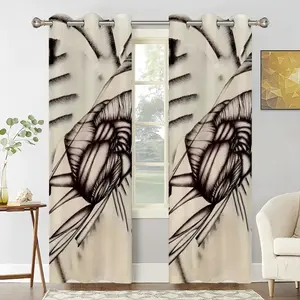 Sd Space 3 Evolution 6 Curtains (Multi-Size)