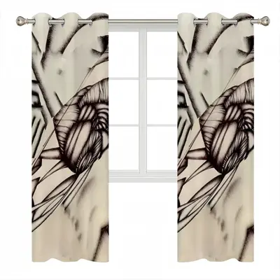 Sd Space 3 Evolution 5 Curtains (Multi-Size)