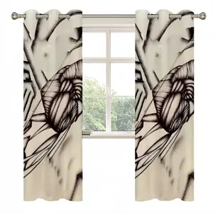 Sd Space 3 Evolution 5 Curtains (Multi-Size)