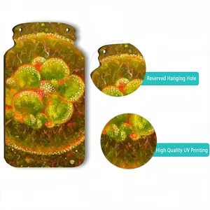 Cellular Universe X Wall Bottle Decoration (Wooden)