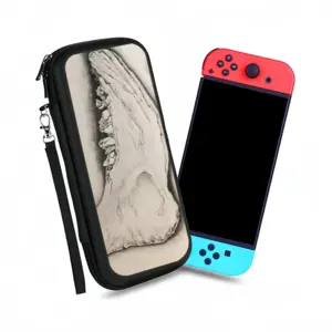 Close Look 2 Nintendo Switch Storage Bag