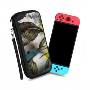 Question Nintendo Switch Storage Bag