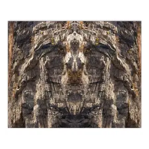 Stone Face Digital Painting (Horizontal)