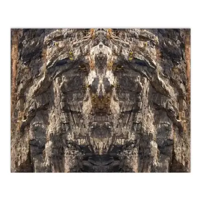 Stone Face Digital Painting (Horizontal)