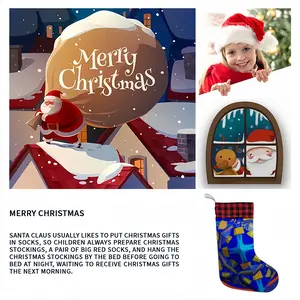 Diatomea Christmas Gift Socks