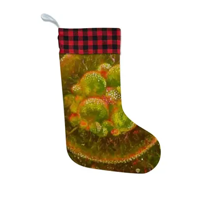 Cellular Universe X Christmas Gift Socks