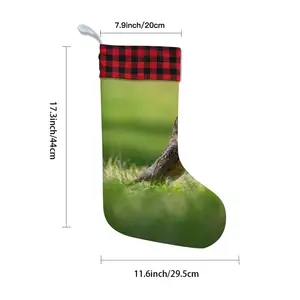 Bird In High Park Grass Christmas Gift Socks