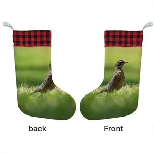 Bird In High Park Grass Christmas Gift Socks