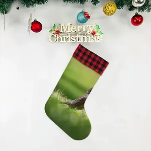 Bird In High Park Grass Christmas Gift Socks