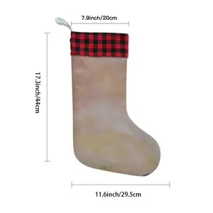 On Barren Paths Christmas Gift Socks