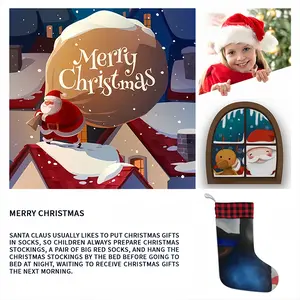 Lens Christmas Gift Socks