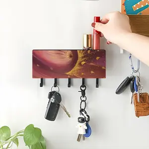 The Seed Wall Mounted Key Hook