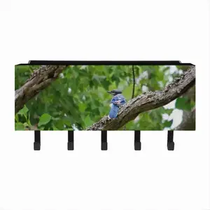 Blue Jay In A Tree - Classic Pose Wall Mounted Key Hook