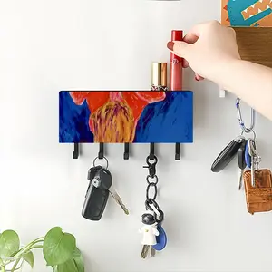 I’Ve Lost My Brush Wall Mounted Key Hook