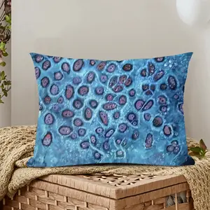 Love Your Cells Polyester Pillow (Rectangle, Multi-Size)