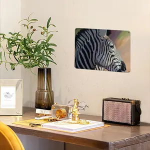 Dreamy Zebra Iron Painting (Horizontal, Multi-Size)