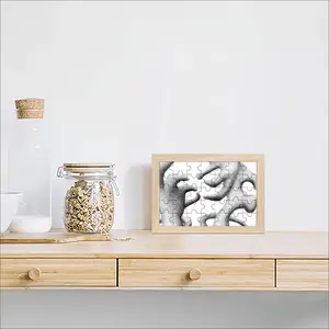 Amorphous Shapes Picture Frame Puzzle